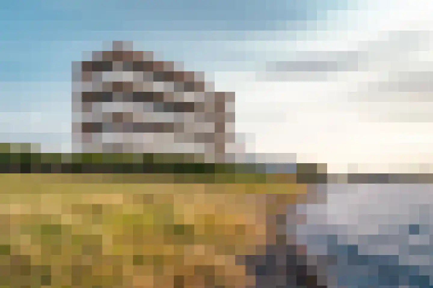 Lamsoor 41 Arnemuiden thumbnail 28