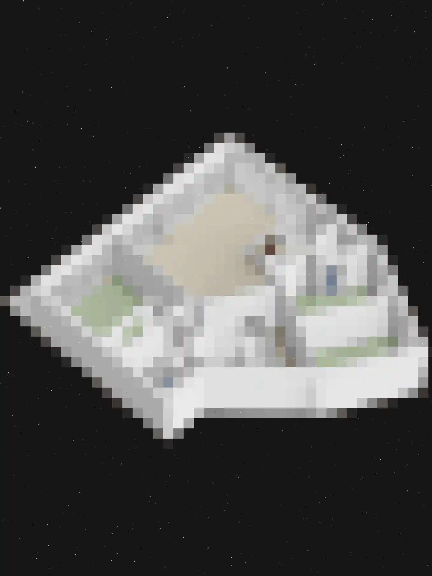 Lamsoor 41 Arnemuiden thumbnail 35