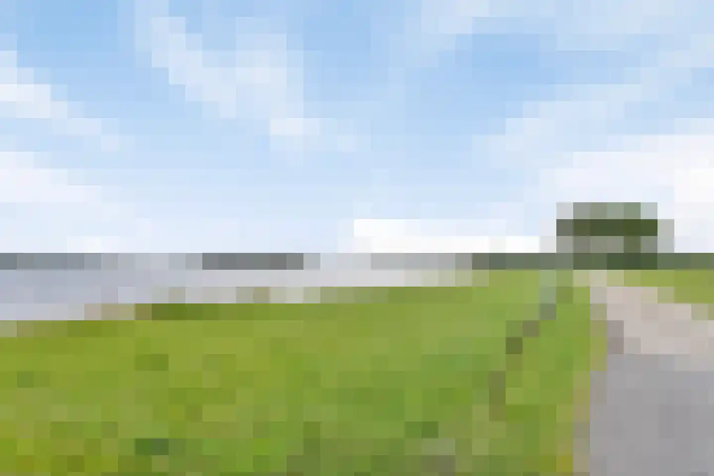 Lamsoor 43 Arnemuiden thumbnail 17