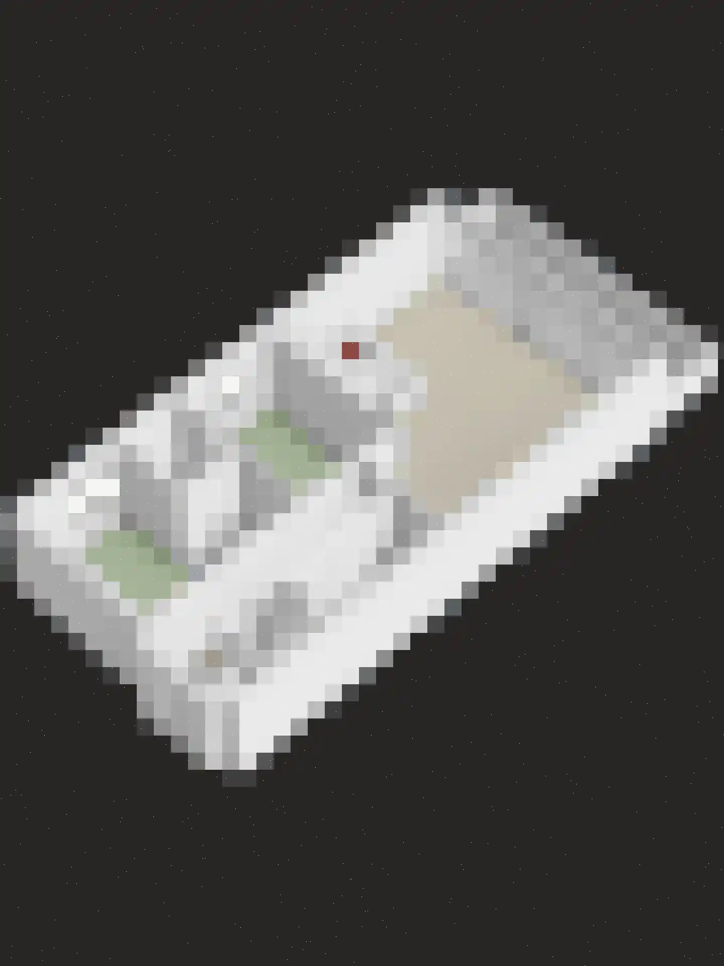 Lamsoor 43 Arnemuiden thumbnail 34