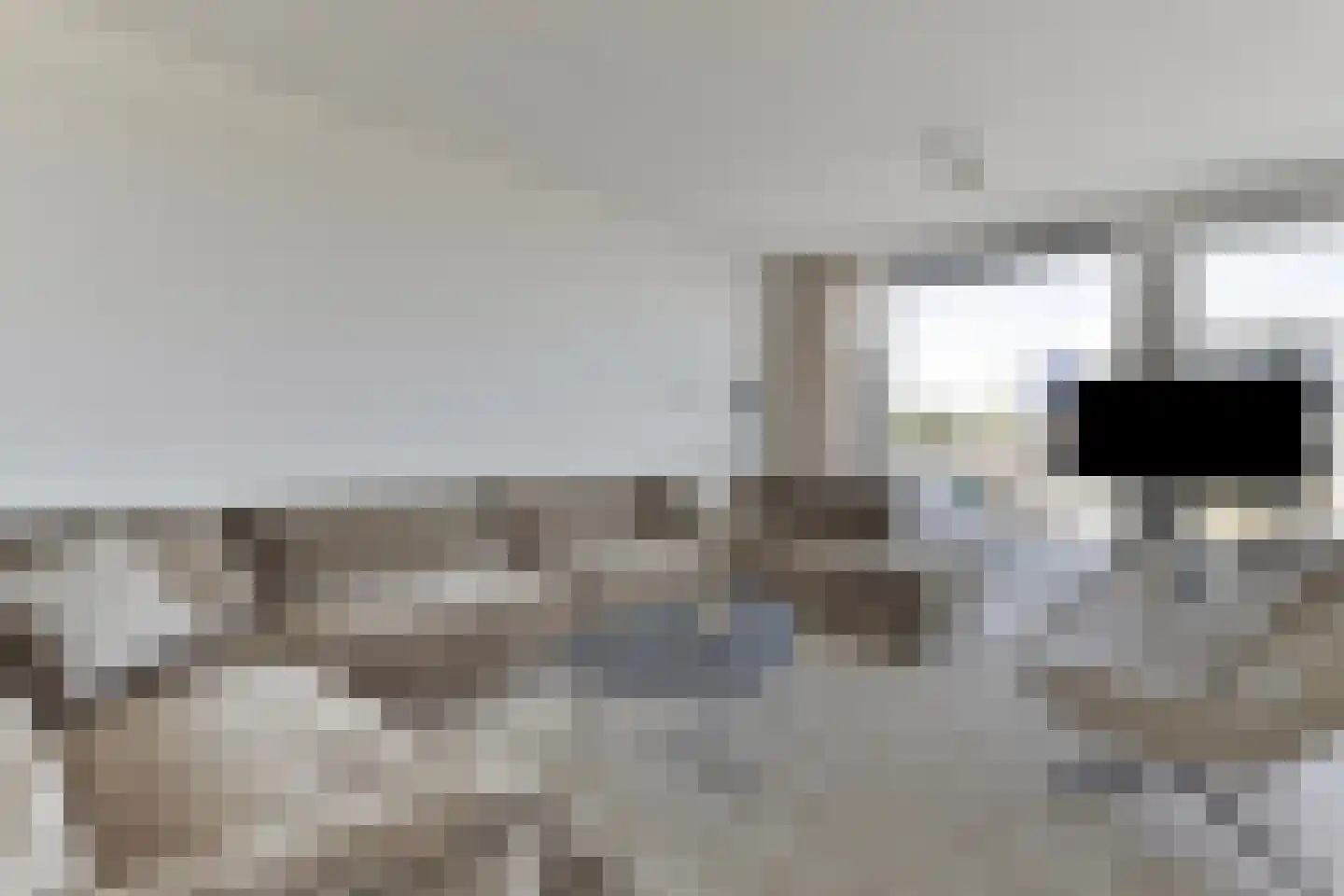 Lamsoor 45 Arnemuiden thumbnail 10