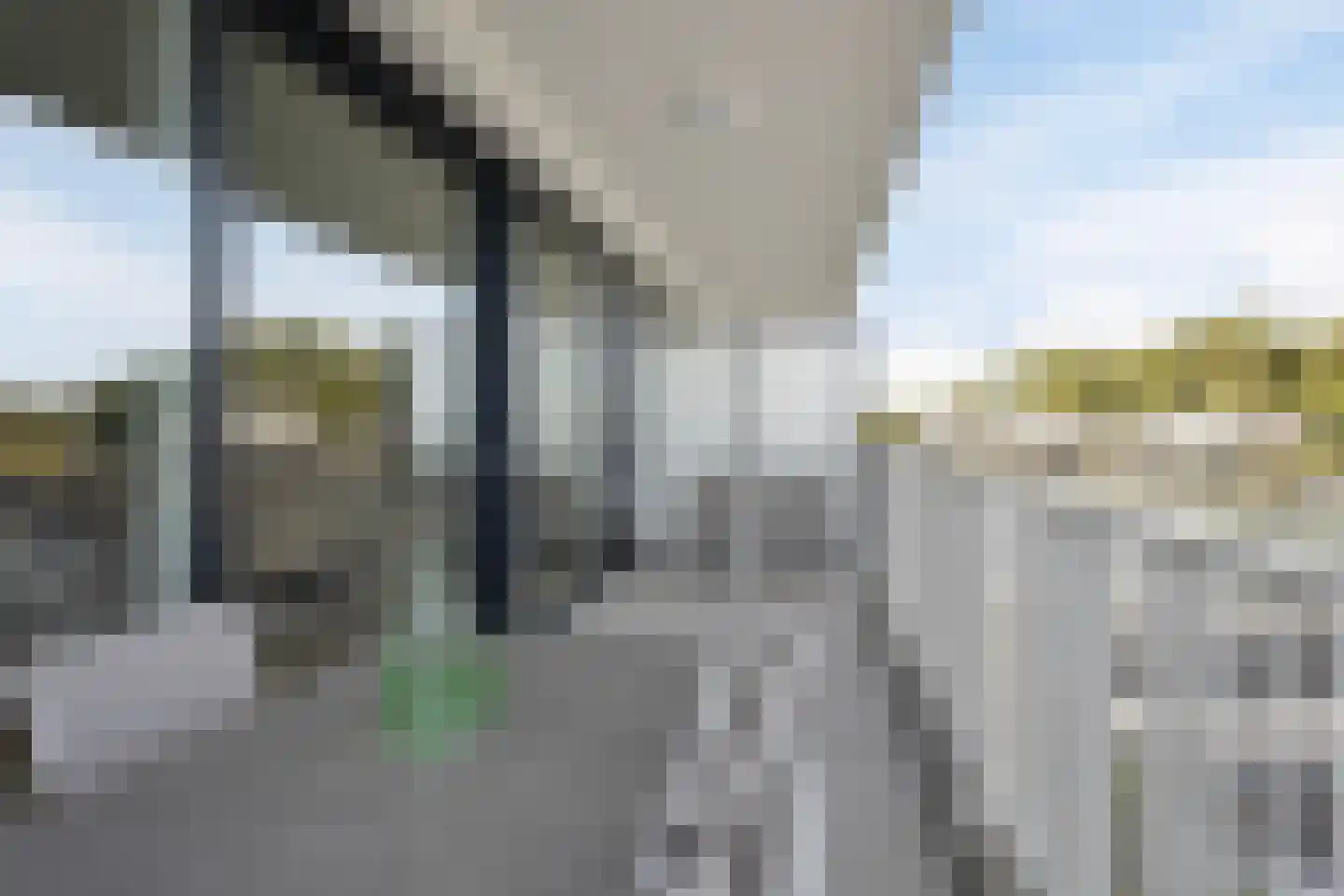 Lamsoor 45 Arnemuiden thumbnail 24