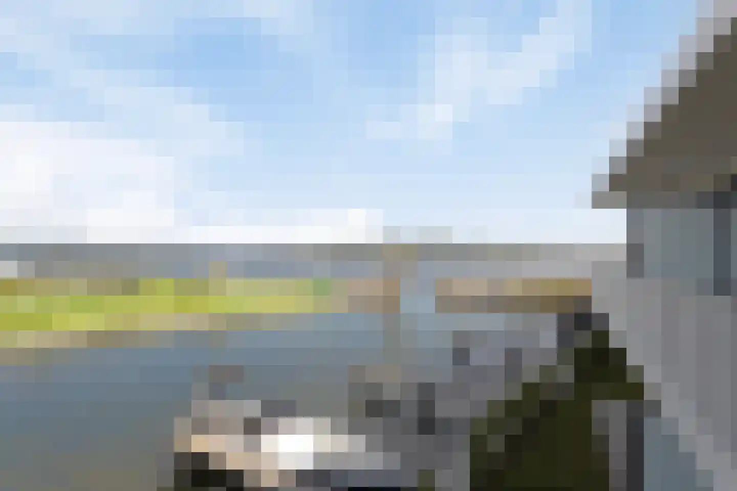 Lamsoor 45 Arnemuiden thumbnail 25