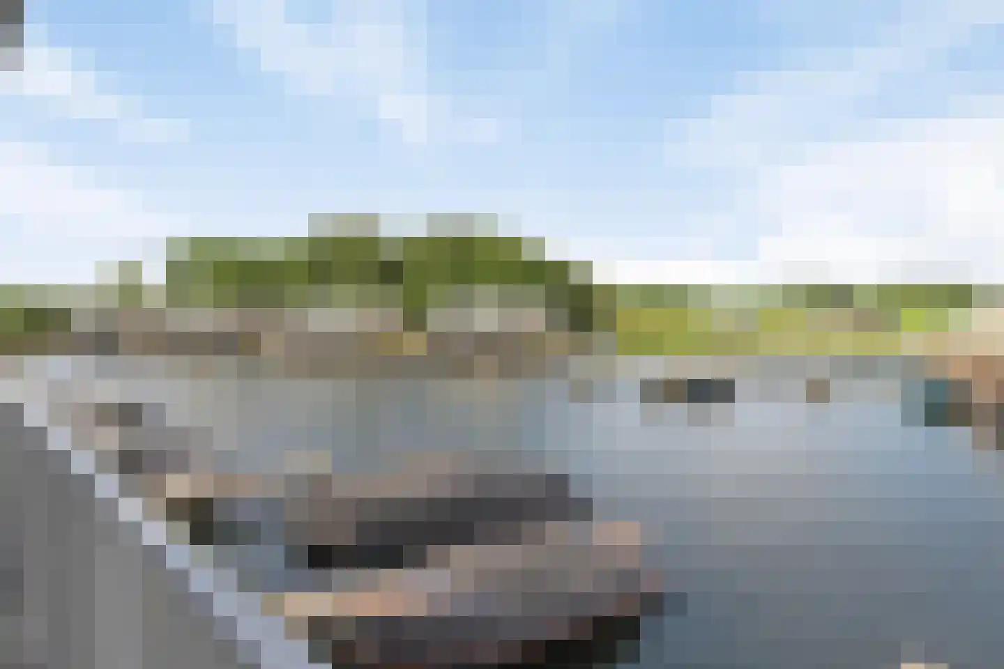 Lamsoor 45 Arnemuiden thumbnail 26