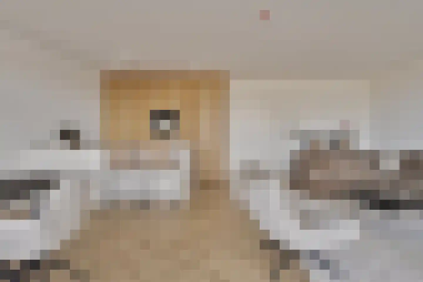 Lamsoor 45 Arnemuiden thumbnail 9