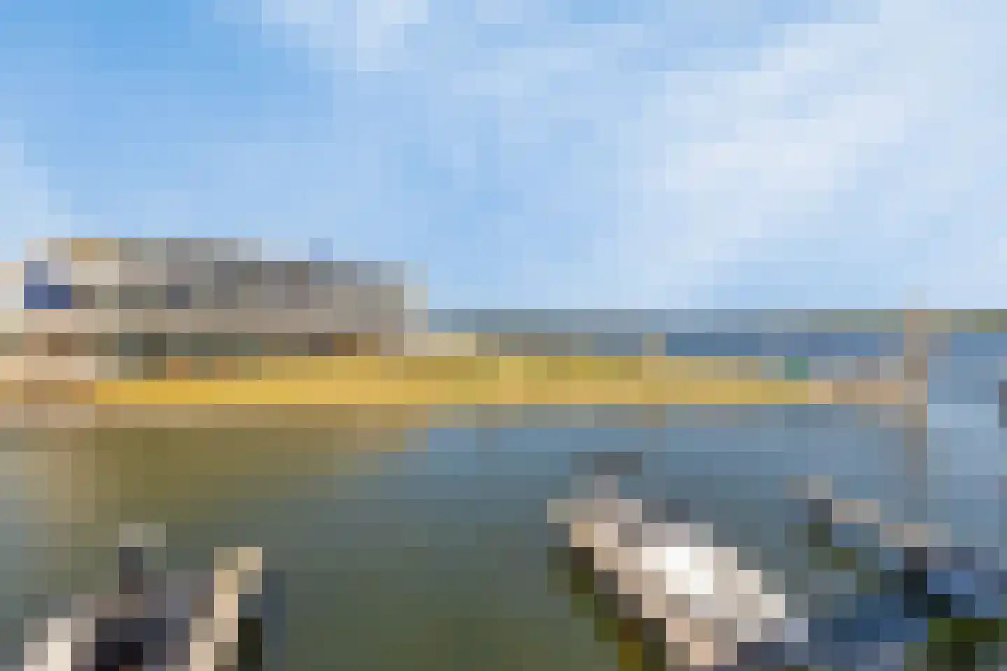 Lamsoor 47 Arnemuiden thumbnail 20