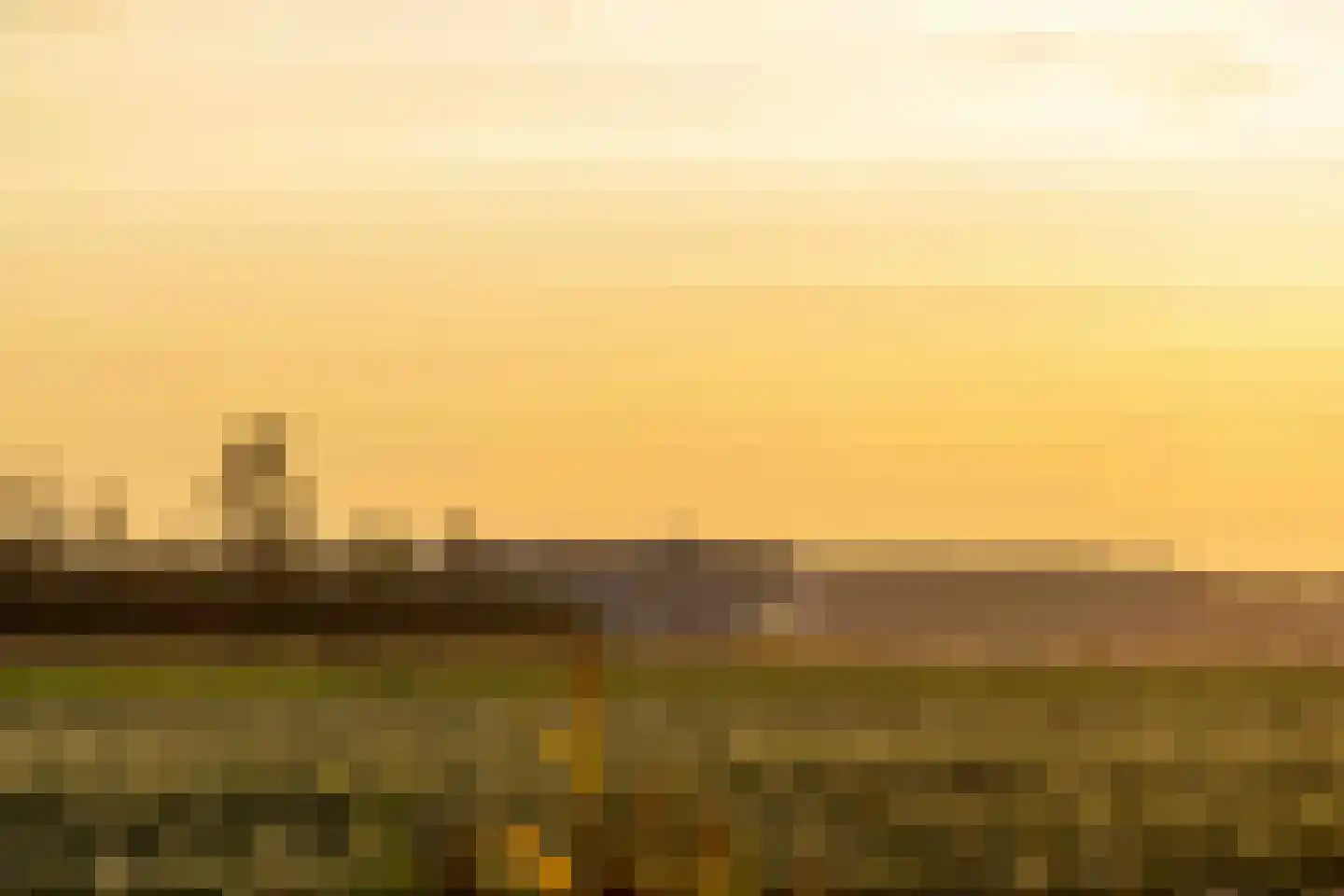 Lamsoor 47 Arnemuiden thumbnail 25