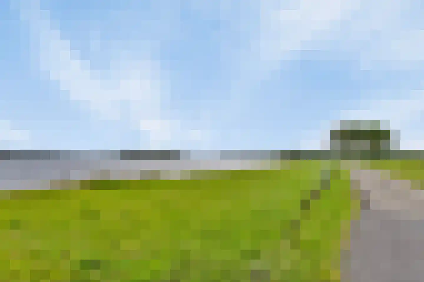 Lamsoor 47 Arnemuiden thumbnail 4