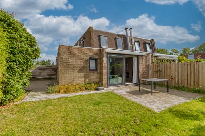 Lamsoor 5 in Nieuwvliet Foto