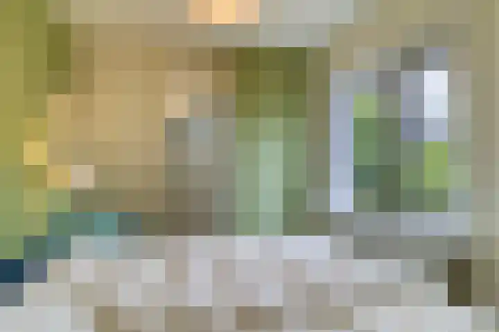 Lamsoor 5 Nieuwvliet thumbnail 10