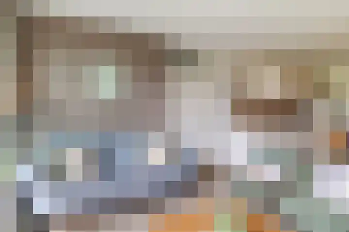 Lamsoor 5 Nieuwvliet thumbnail 14