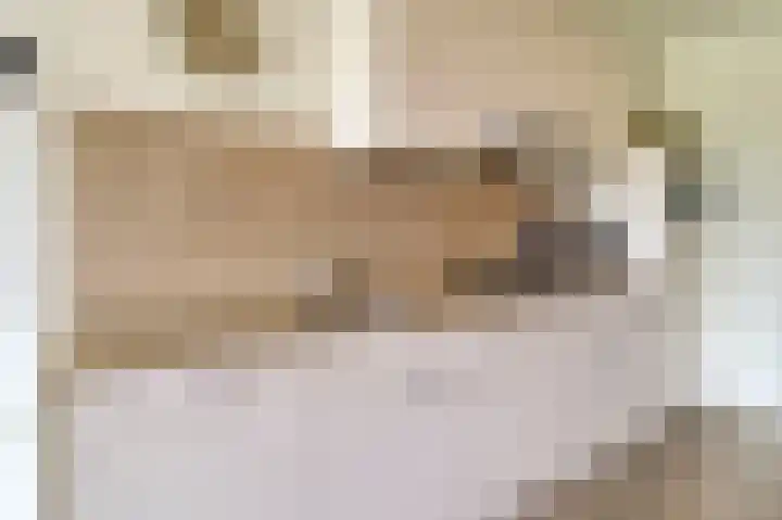 Lamsoor 5 Nieuwvliet thumbnail 17