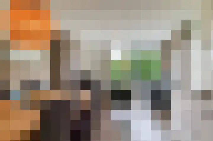 Lamsoor 5 Nieuwvliet thumbnail 19