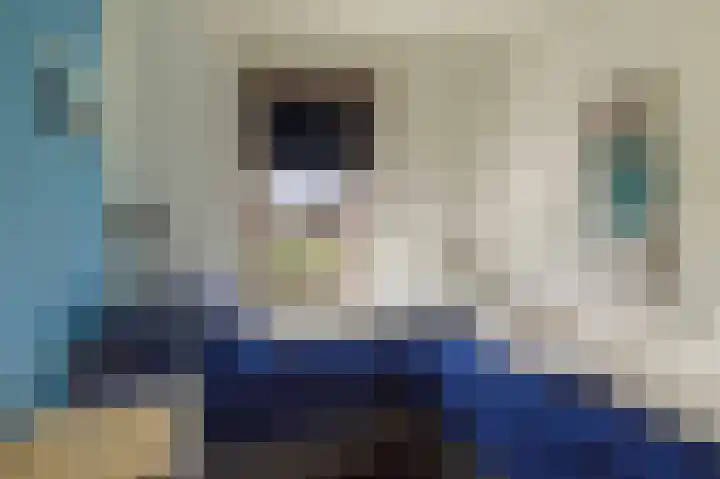 Lamsoor 5 Nieuwvliet thumbnail 25
