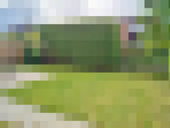 Lamsoor 5 Nieuwvliet thumbnail 28