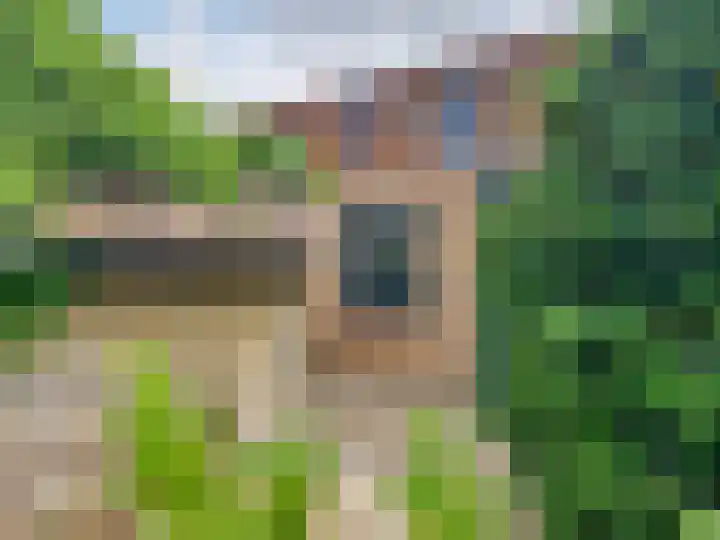 Lamsoor 5 Nieuwvliet thumbnail 29