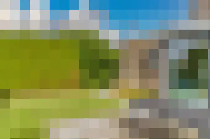 Lamsoor 5 Nieuwvliet thumbnail 31