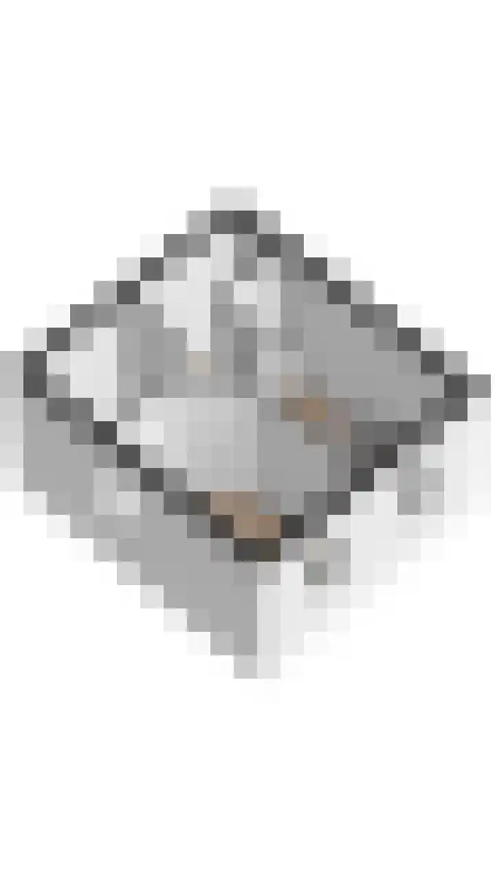 Lamsoor 5 Nieuwvliet thumbnail 34