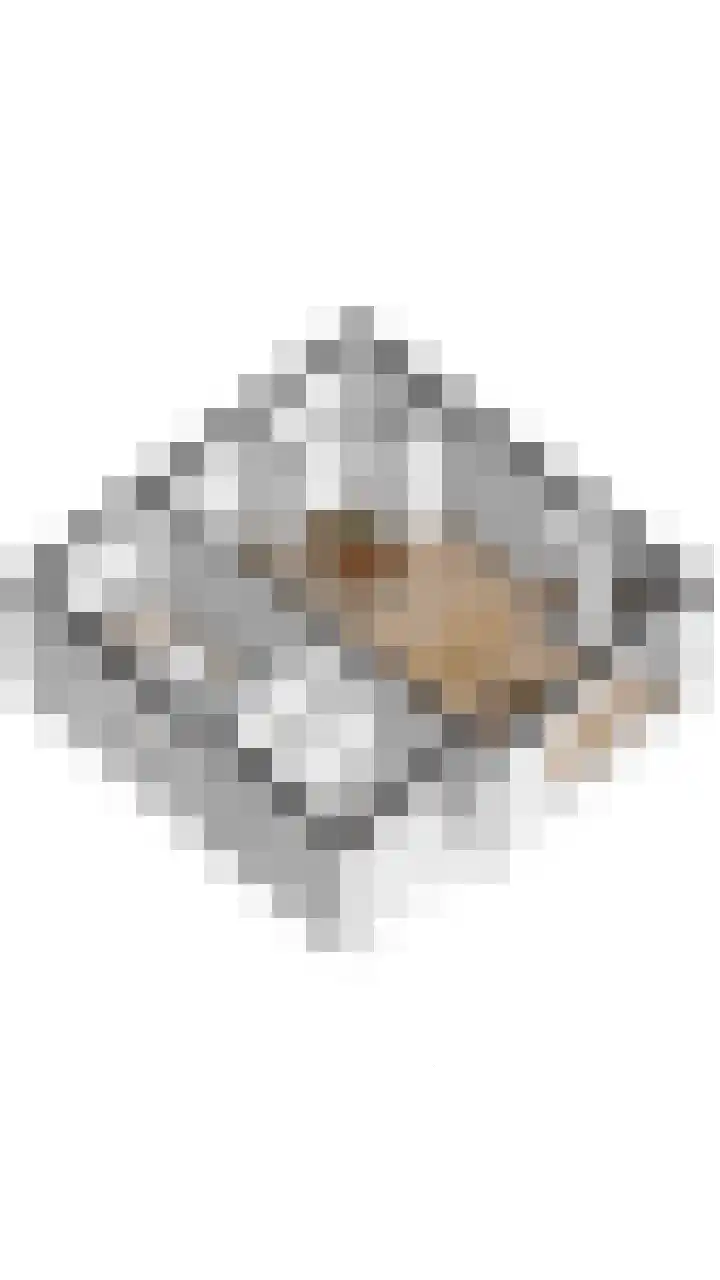 Lamsoor 5 Nieuwvliet thumbnail 35