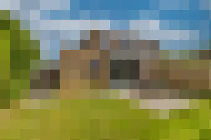 Lamsoor 5 Nieuwvliet thumbnail 36