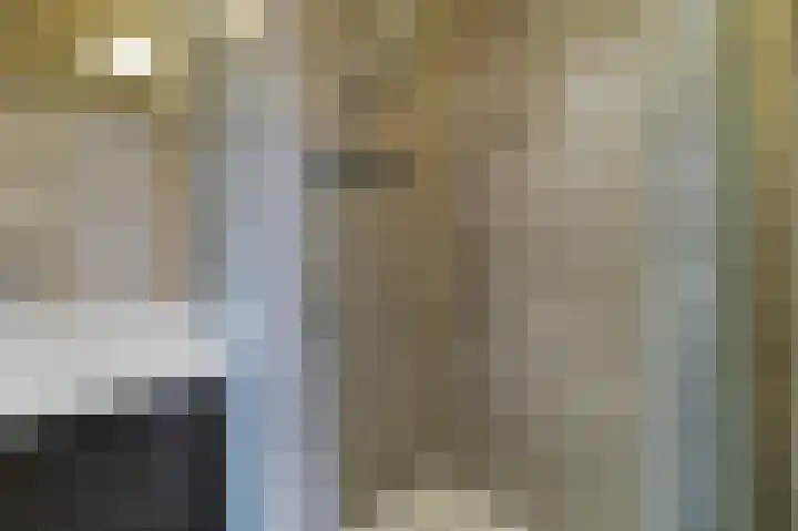 Lamsoor 5 Nieuwvliet thumbnail 4