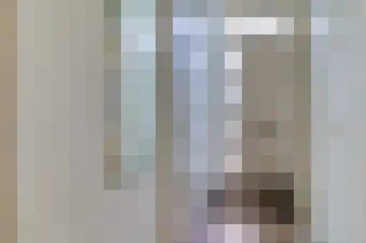Lamsoor 5 Nieuwvliet thumbnail 8