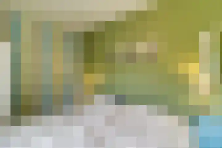 Lamsoor 5 Nieuwvliet thumbnail 9