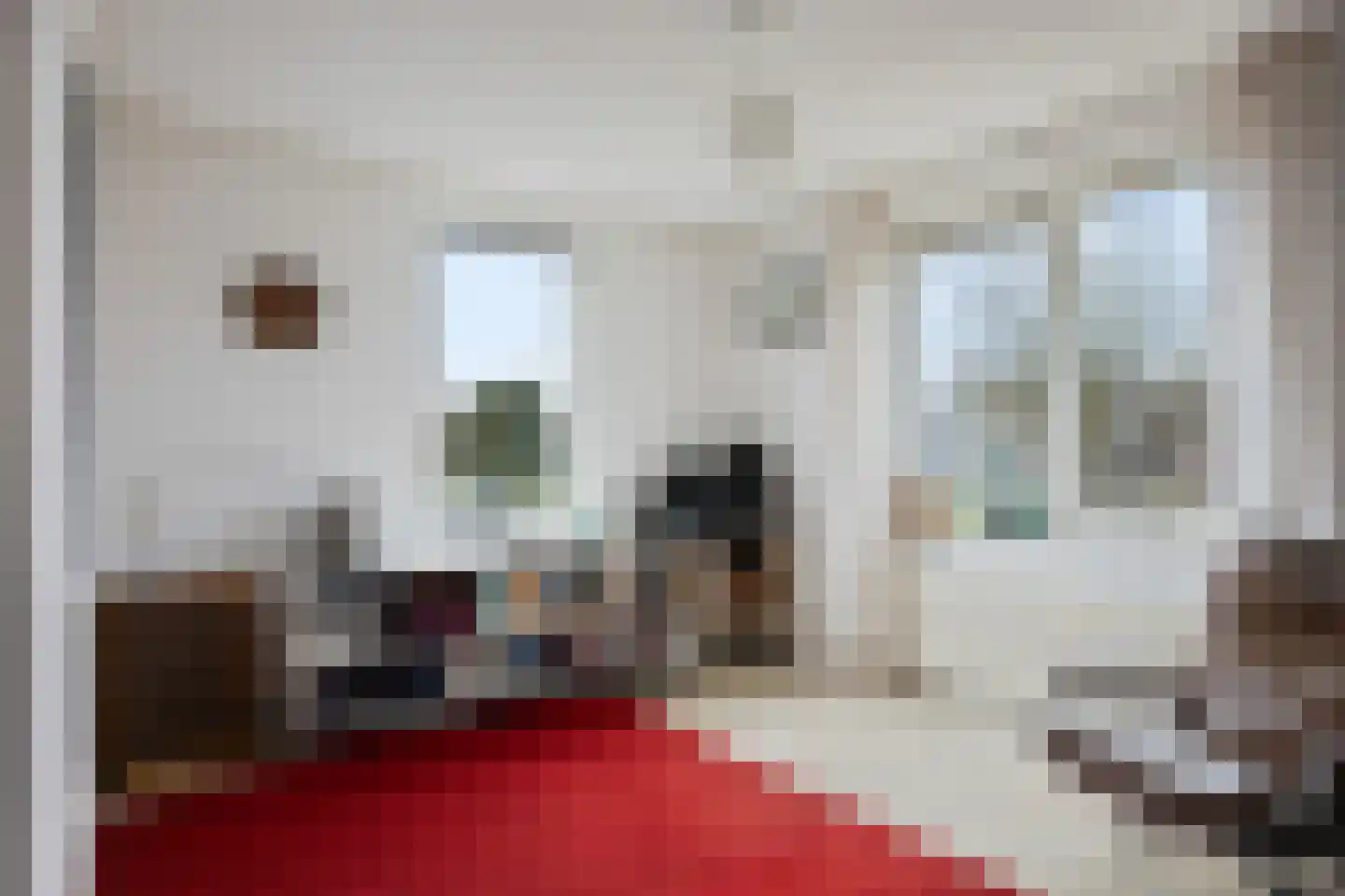 Lamsoor 65 Bergen op Zoom thumbnail 25