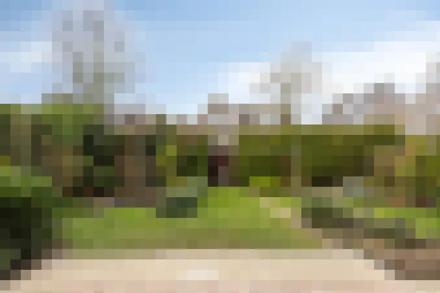 Lamsoor 65 Bergen op Zoom thumbnail 29