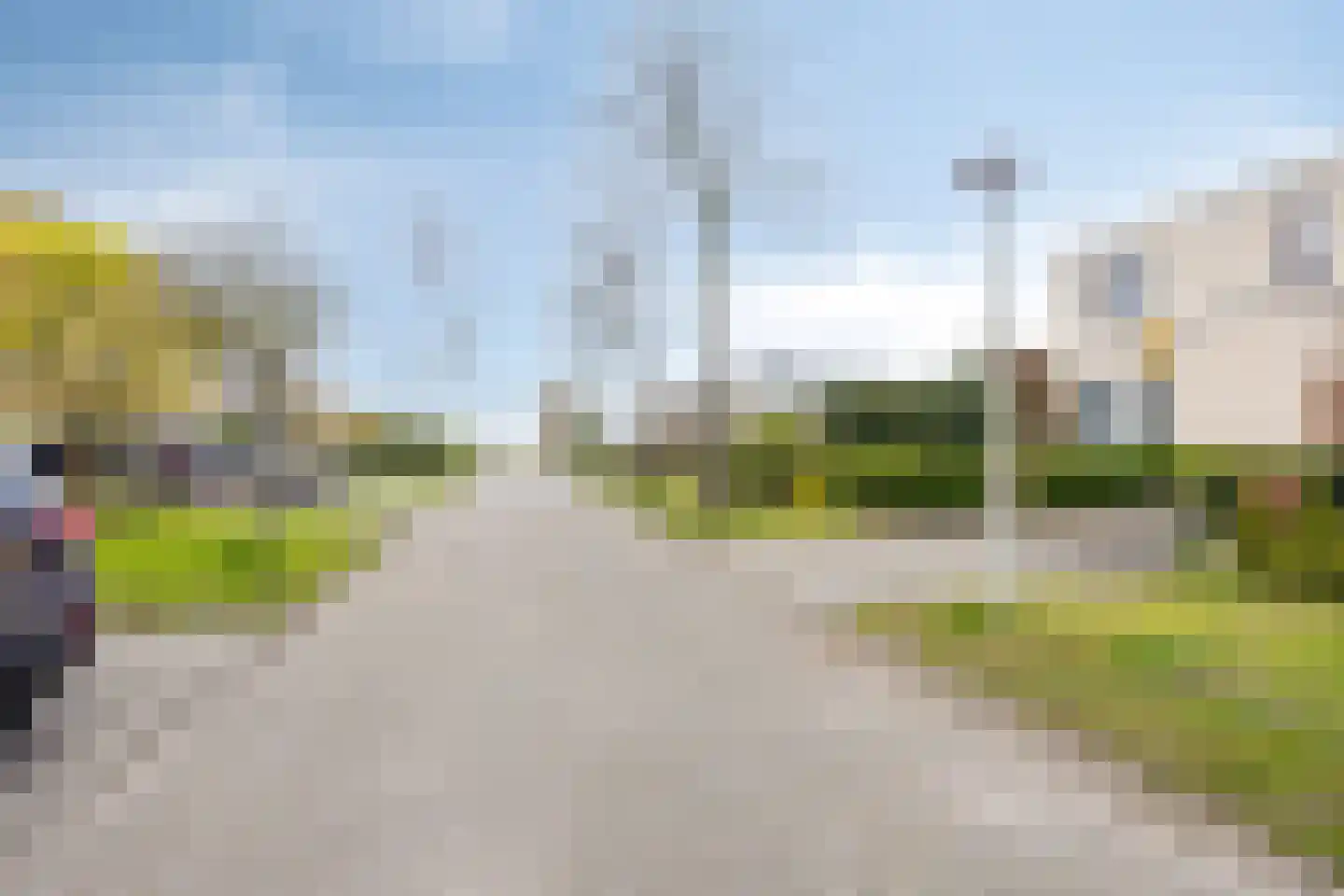 Lamsoor 65 Bergen op Zoom thumbnail 41