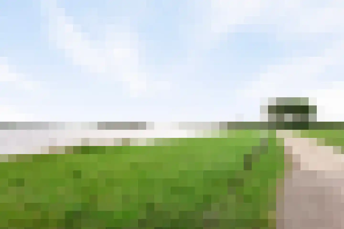 Lamsoor 91 Arnemuiden thumbnail 28