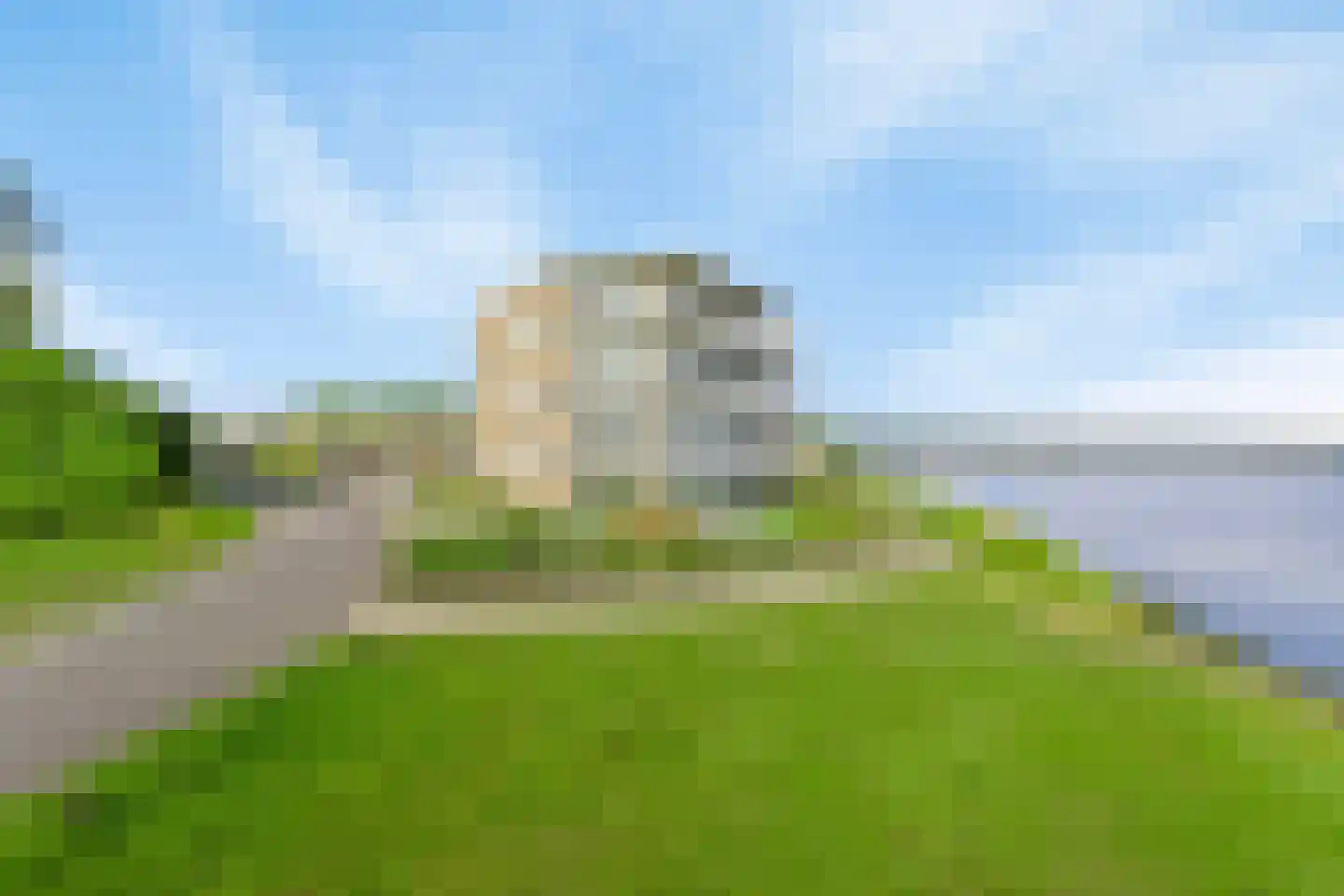 Lamsoor 91 Arnemuiden thumbnail 30