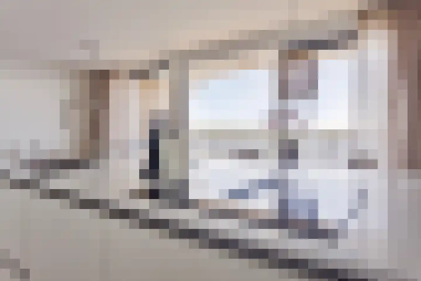 Lamsoor 91 Arnemuiden thumbnail 7