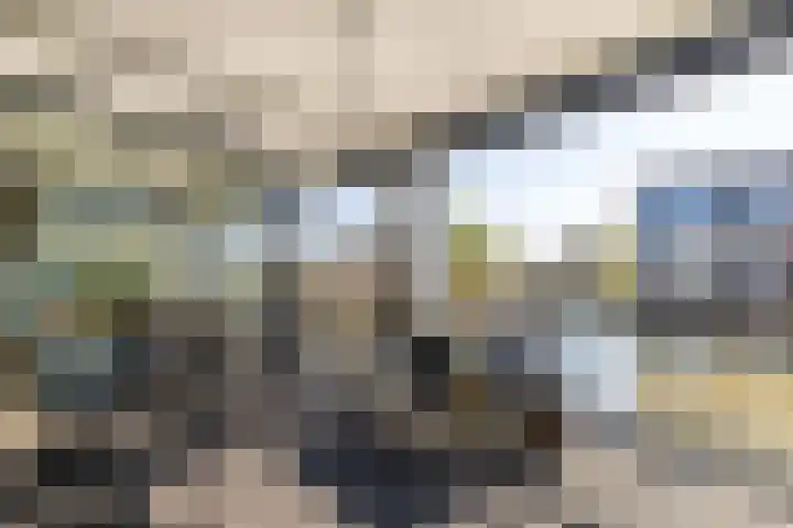 Lamsrustlaan 15 Rotterdam thumbnail 13