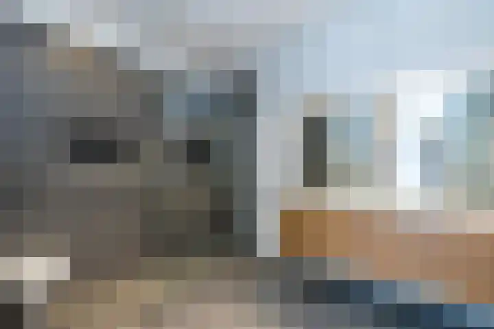 Lamsrustlaan 15 Rotterdam thumbnail 25