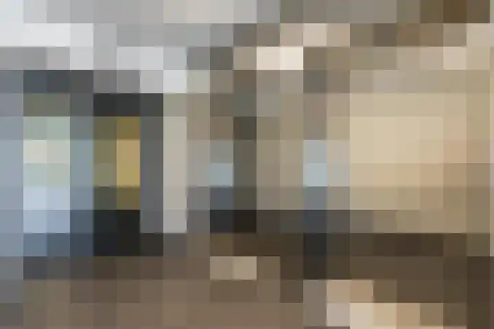 Lamsrustlaan 15 Rotterdam thumbnail 38