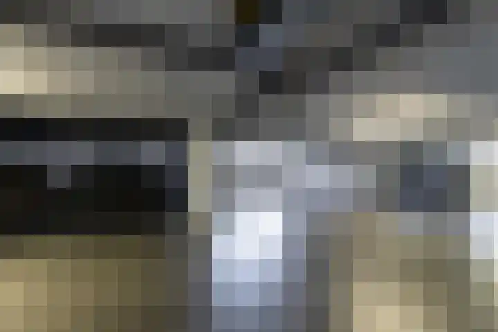 Lamsrustlaan 15 Rotterdam thumbnail 40