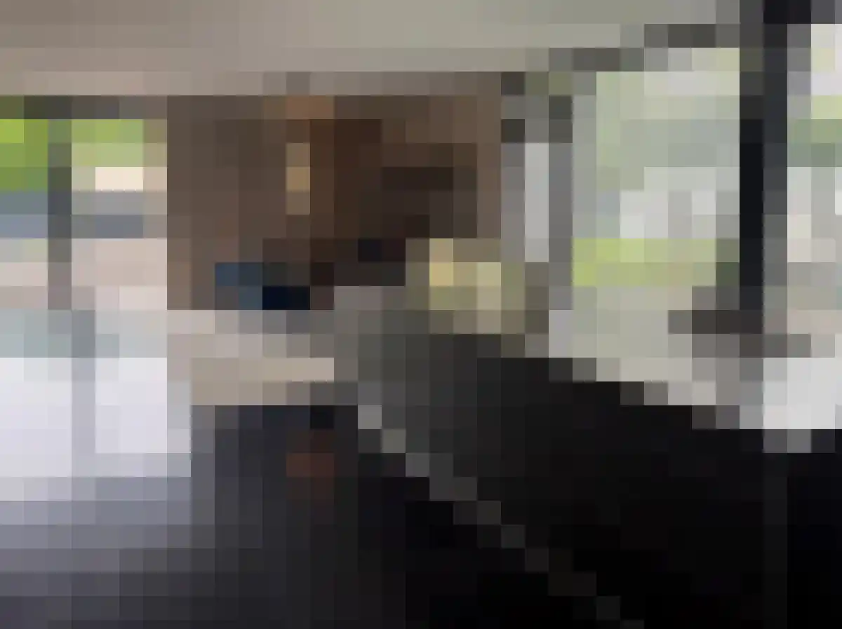 Lamsrustlaan 20 Rotterdam thumbnail 5