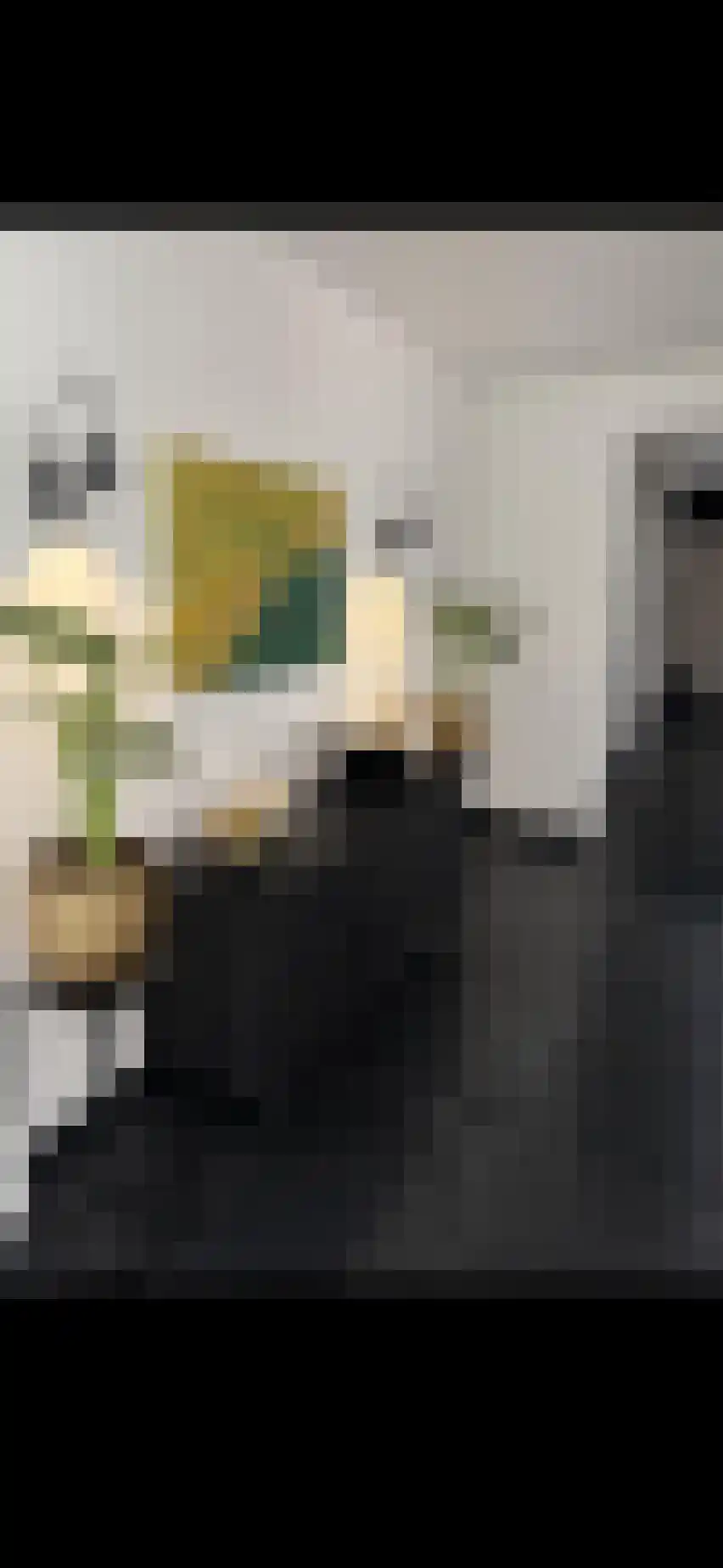 Lamsrustlaan 20 Rotterdam thumbnail 5