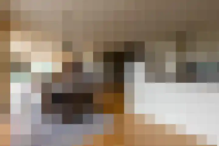 Lamsrustlaan 331 Rotterdam thumbnail 10