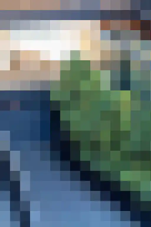 Lamsrustlaan 331 Rotterdam thumbnail 20