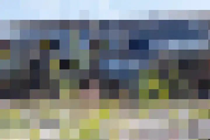 Lamsrustlaan 331 Rotterdam thumbnail 21