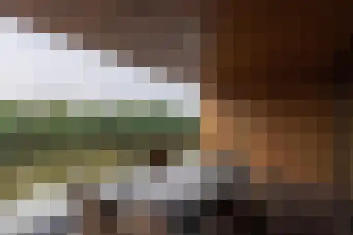 Lamsrustlaan 331 Rotterdam thumbnail 5