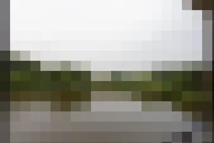 Lamsrustlaan 331 Rotterdam thumbnail 7