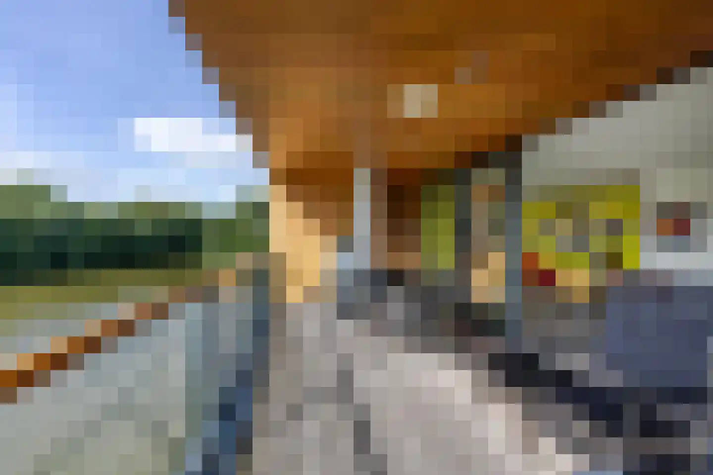 Lamsrustlaan 335 Rotterdam thumbnail 15