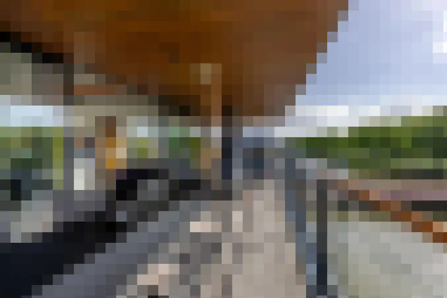 Lamsrustlaan 335 Rotterdam thumbnail 18