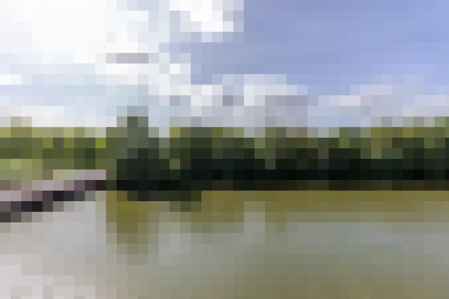 Lamsrustlaan 335 Rotterdam thumbnail 19