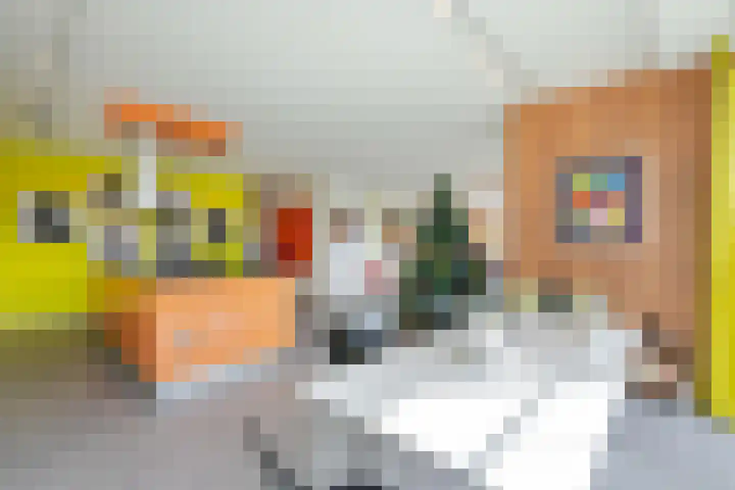 Lamsrustlaan 335 Rotterdam thumbnail 27