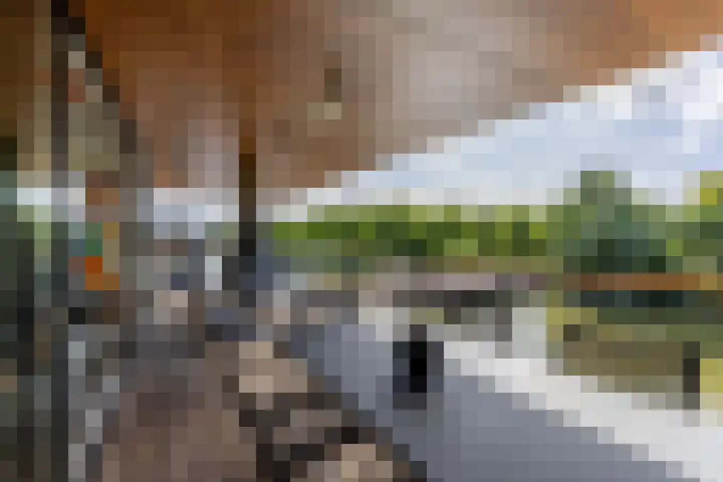 Lamsrustlaan 335 Rotterdam thumbnail 4
