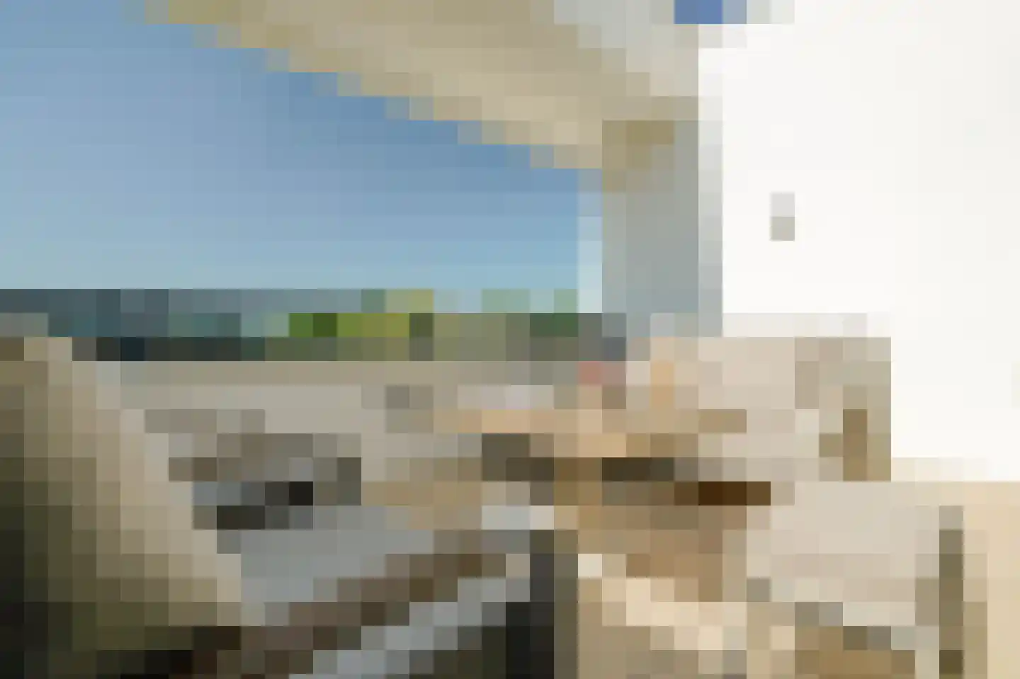 Lamsrustlaan 45 Rotterdam thumbnail 23